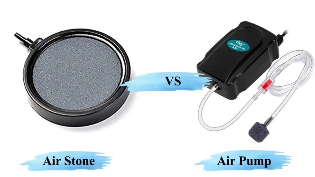 Air Stone vs. Air Pump