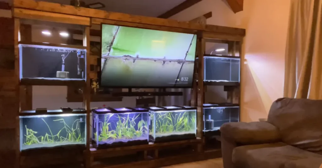 Can a TV Stand Hold a Fish Tank