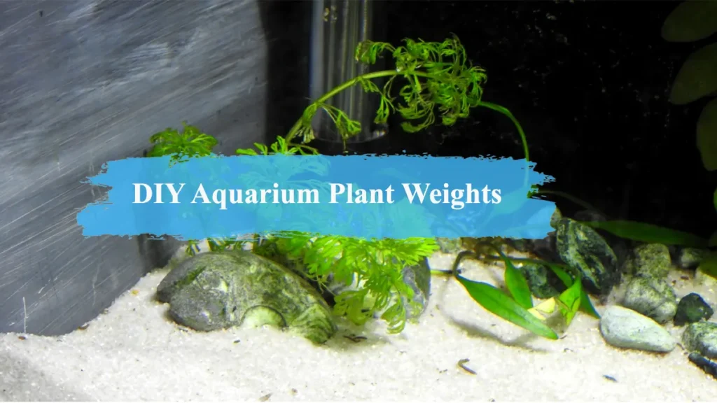 DIY Aquarium Plant Weights