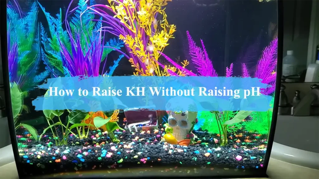 How to Raise KH Without Raising pH