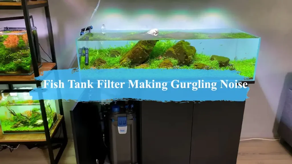 fish tank filter making gurgling noise