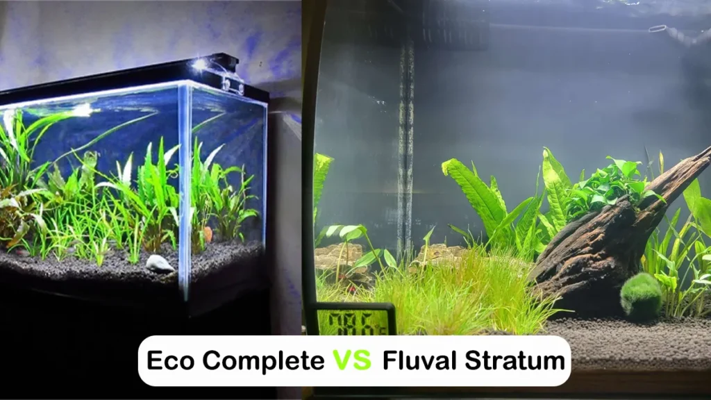 Eco Complete vs Fluval Stratum