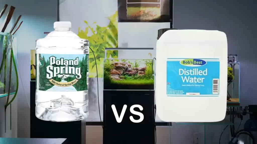 Spring or Distilled Water for Fish Tank