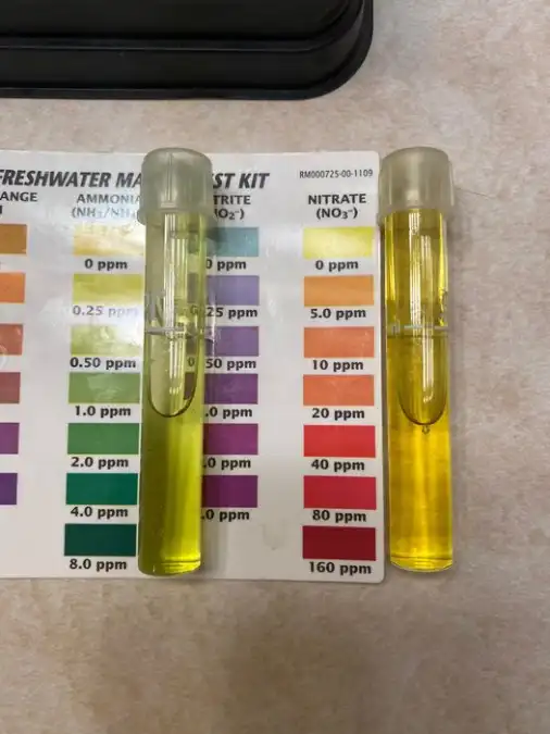 Test for Nitrite Levels