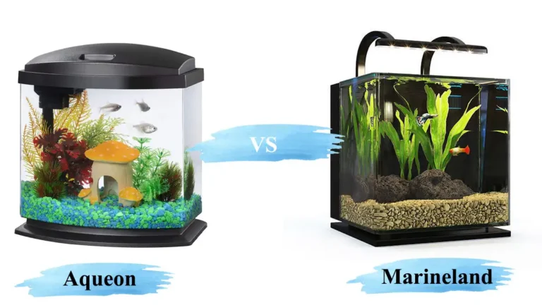 Aqueon vs. Marineland: : Choosing the Right One for You