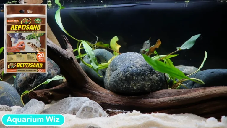 Can You Use Reptile Sand in a Fish Tank? 