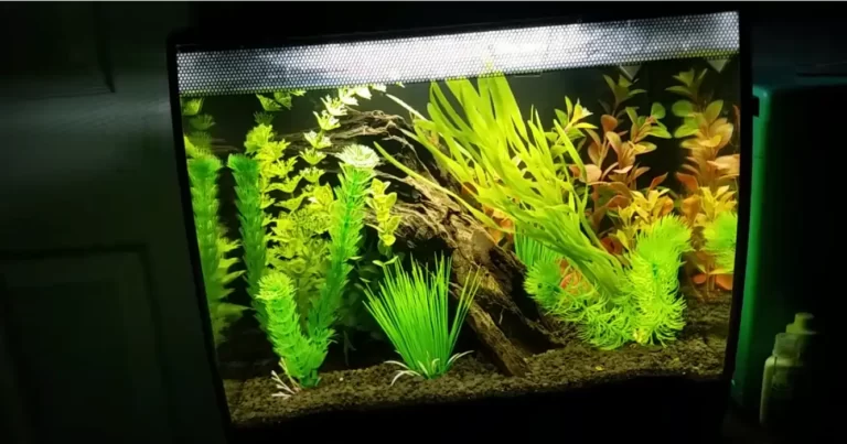Upgrade Your Fluval Flex 15 Lighting for a Brighter Aquarium